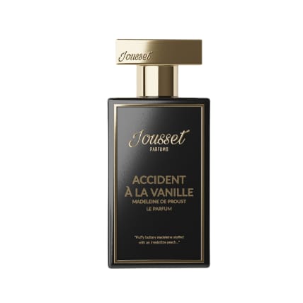 accident-a-la-vanille-madeleine-de-proust-.jpg