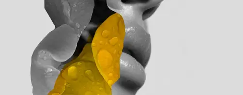 La Profumeria1965 visita Pitti Fragranze 2025